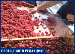 Чтобы жизнь малиной не казалась: жительницу Новороссийска обвесили на рынке