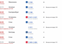 В Краснодарский край не улететь: 200 рейсов из Москвы задерживаются