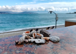 Тельцам трудолюбие принесет плоды, а Скорпионы займутся переоценкой ценностей