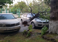 Утро после урагана: новороссийцы делятся  фотографиями последствий