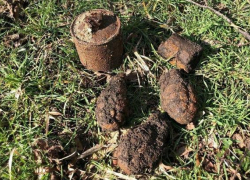 Эхо войны: в парке села Гайдук нашли пять гранат