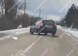 Собаку привязали за шею к машине: в Краснодарском крае жуткое происшествие