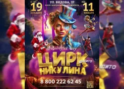 Цирк Никулина в Новороссийске: Новогоднее цирковое шоу продолжается