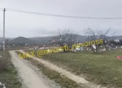 Новая беда на Щелбе: мусор разлетелся с временного полигона в Новороссийске