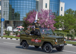 Напоминаем: как можно посмотреть Парад Победы в Новороссийске 