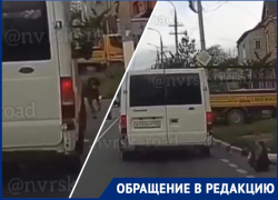 Неизвестный сбил собаку и скрылся на дорогах Новороссийска 