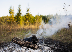 Лишение свободы за лесной пожар — в Новороссийске действует 4 класс пожарной опасности