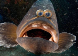 Гороскоп на 30 октября: рыбы будут увлечены своим внутренним «я»