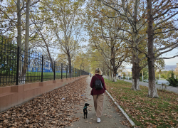 Гороскоп от «Блокнота»: Раки захотят приключений, а Тельцы расслабиться