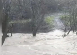  - Не надо сирен, лучше бояться молча, - считают новороссийцы