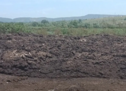 Сотрудники Росприроднадзора обнаружили под Новороссийском свалку птичьих отходов