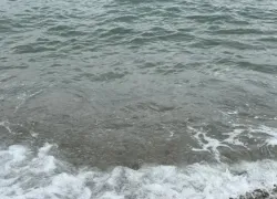 Звезды приготовили подарки и откровения в пятницу 