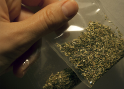 Два свертка наркотиков нашли в Новороссийске