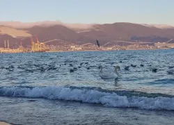 Погода в Новороссийске: тепло и пасмурно