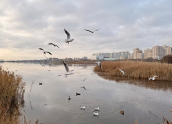 Гороскоп от «Блокнота»: у Весов энергия через край, а у Стрельцов насыщенный день