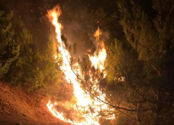 Экстренные службы полночи спасали гору Колдун в Новороссийске