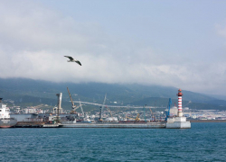 Не расслабляться, далеко не заплывать! В Новороссийске снова будет шумно