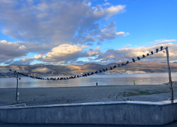 Погода в Новороссийске: днём потеплеет до +17 градусов