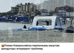 Пляжи Новороссийска в мазуте - не верьте: управление курортов опровергает