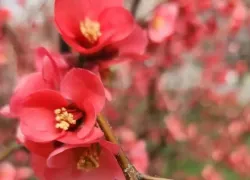 Весеннее равноденствие пройдет в Новороссийске без солнца