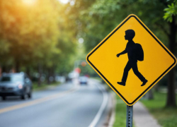 Разметка, светофоры, дорожные знаки: что еще в Новороссийске готово к новому учебному году