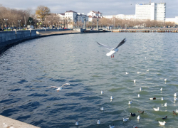 Погода в Новороссийске: ветреная весна возвращается