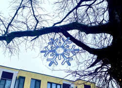 Погода в Новороссийске: зима вспомнила, что она – зима 