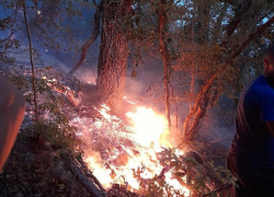 Почти 5 часов тушили пожар на горе Колдун в Новороссийске