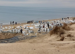 Усиленный контроль: что показали пробы воды в Черном море после разлива мазута 