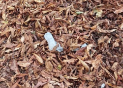 "Здесь должно быть все стерильно": новороссийцы возмущены состоянием территории возле поликлиники