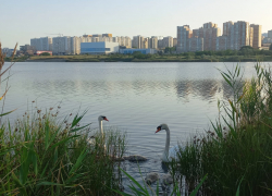 Погода в Новороссийске: небольшое похолодание и ветерок