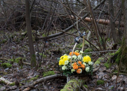 Отчим убил камнем свою падчерицу и сбежал