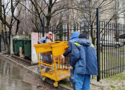 По 1,27 жёлтых контейнера в день чинили в Новороссийске