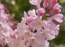 Раки восстановятся эмоционально, а Девы проведут день за аналитикой
