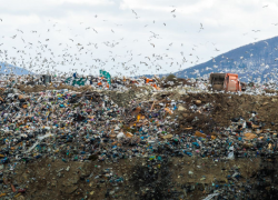  Свалка ещё горит: в Новороссийске обсудили ситуацию с горящей Щелбой