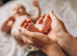 Правительство РФ поддержало закон о штрафах за пропаганду чайлдфри — на заметку новороссийцам