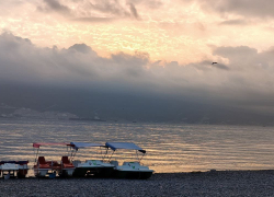 Гороскоп от «Блокнота»: Львам не поддаваться негативным мыслям, а Скорпионам не принимать поспешных решений