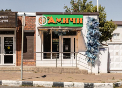 Новороссийскому медколледжу можно позавидовать – у них через забор настоящая Азия