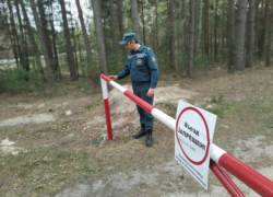 Никаких шашлыков в лесу! В Новороссийске возобновили режим ограниченного пребывания в лесах.