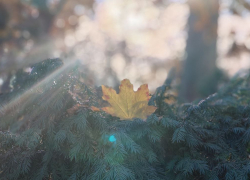 Из «минуса» в «плюс»: чего ждать от погоды в Новороссийске