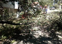 Поваленные деревья и чудом целая машина: в Новороссийске задул ураганный ветер