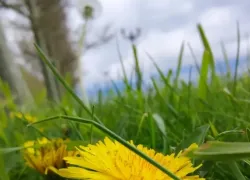 Водолеям предстоит действовать осмотрительно, а Девам улыбнется удача в переговорах