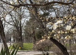 На утреннюю прогулку захватите зонтик