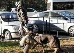Утро в детской поликлинике Новороссийска началось с экстренной эвакуации 