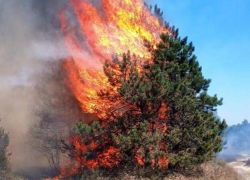 В пригороде Новороссийска вспыхнул очередной пожар