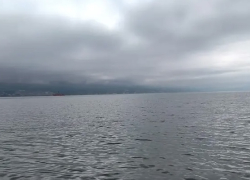 При атаке БПЛА на судно в Чёрном море близ Новороссийска погиб гражданин Турции