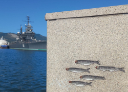 Погода в Новороссийске: малооблачно и спокойно