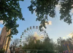 Как Новороссийск отметит День города: выставка ретро автомобилей, «Гонка дронов» и многое другое