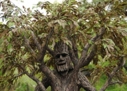 Чудо-сад новороссийца кому-то не понравился