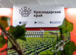 Новаторы из разных стран соберутся в Краснодарском крае: Международный форум «БИОПРОМ» пройдет в Геленджике